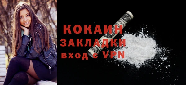 мет Няндома