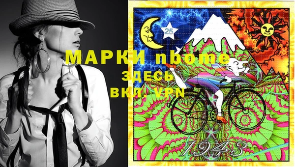 ешки Новодвинск