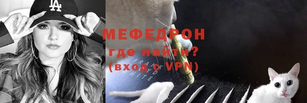 мет Няндома