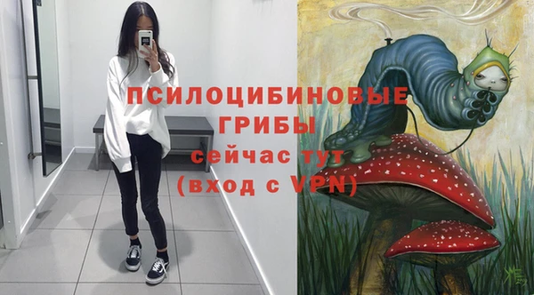 не бодяженный Нязепетровск